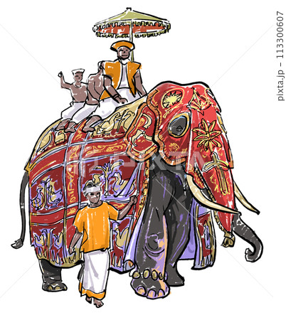スリランカ-エサラ・ペラヘラ祭の象 スリランカ-エサラ・ペラヘラ祭の象 113300607