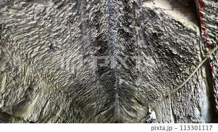 千葉県市原市の永昌寺トンネルの天井 113301117