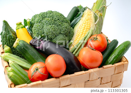 野菜盛り　 113301305
