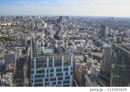 a cityscape of tokyo shinjyuku shibuya meguro Nov 29 2023 a cityscape of tokyo shinjyuku shibuya meguro Nov 29 2023 113301620