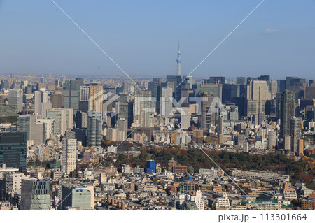Nov 29 2023 a modern office building and blue sky, japan 113301664