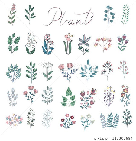 Vector set of house plants in pots, on stand. Isolated template of green cactus, monstera leaves, fern, ficus, zamioculcas. Botanical illustration of bush, branch for home interior. Line art Vector set of house plants in pots, on stand. Isolated template of green cactus, monstera leaves, fern, ficus, zamioculcas. Botanical illustration of bush, branch for home interior. Line art 113301684