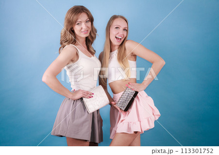 Elegant women holding hand purse wallet 113301752
