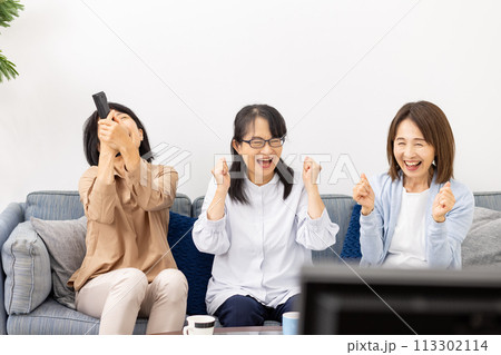シニア女性　テレビ観戦 113302114