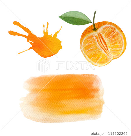 Tangerine, orange watercolor splash isolated on white 113302263