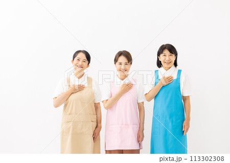 家事代行 エプロンの女性 家事代行 エプロンの女性 113302308