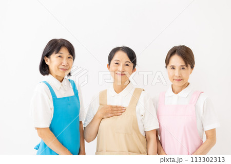 家事代行　エプロンの女性 113302313