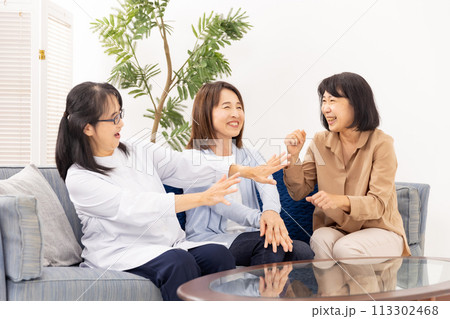 リビングでおしゃべりをするシニア女性　 113302468