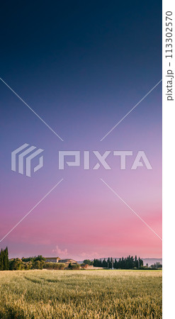 Catalonia, Spain. Sunny Spring Sky Above Spanish Countryside Rural Wheat Field Landscape. 113302570