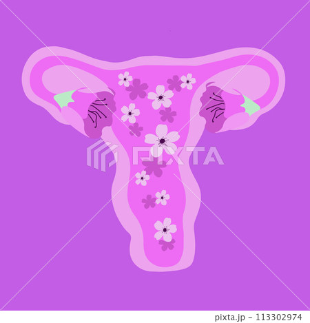 Vector isolated illustration of stylized female uterus. Vector isolated illustration of stylized female uterus. 113302974