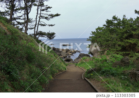 三陸復興国立公園 みちのく潮風トレイル 《青森県》 三陸復興国立公園 みちのく潮風トレイル 《青森県》 113303305