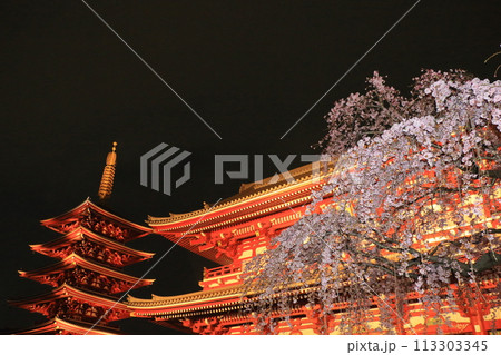 満開の桜と浅草寺宝蔵門　東京の観光地　 113303345