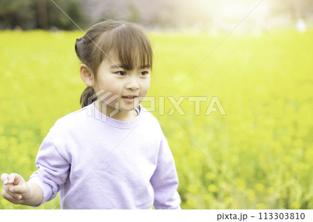 菜の花畑と女の子 113303810