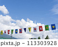 運動会のフラッグ 113303928