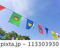運動会のフラッグ 113303930