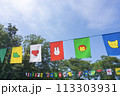 運動会のフラッグ 113303931