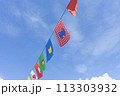 運動会のフラッグ 113303932