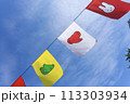 運動会のフラッグ 113303934