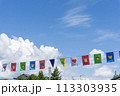運動会のフラッグ 113303935