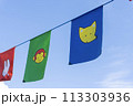 運動会のフラッグ 113303936
