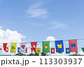 運動会のフラッグ 113303937
