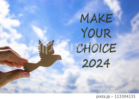 Make your choice 2024 symbol. Concept words Make your choice 2024. Beautiful blue sky cloud background. Voter hand with wooden bird. Business Make your choice 2024 concept. Copy space 113304135