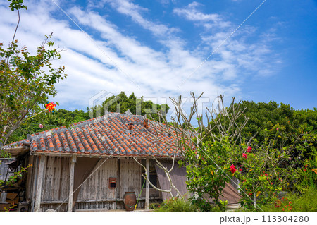 沖縄県　竹富島　琉球赤瓦の家屋とシーサー 113304280