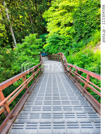 滑津大滝:入口~滝 滑津大滝:入口~滝 113304566