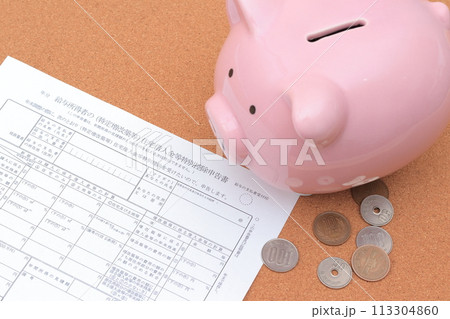 住宅借入金等特別控除申告書 113304860