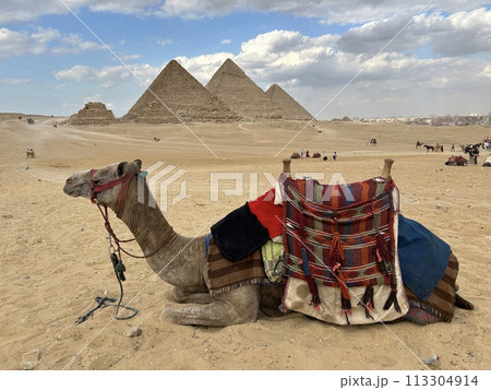 エジプトのピラミッド 113304914