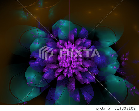 Imaginatory fractal abstract background Image Imaginatory fractal abstract background Image 113305108