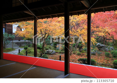 日の出を待つ仏塔 113305710