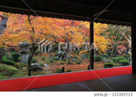 日の出を待つ仏塔 日の出を待つ仏塔 113305713