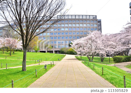 福岡工業大学　福工大　福岡市東区和白東3-30-1 113305829