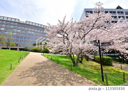 福岡工業大学　福工大　福岡市東区和白東3-30-1 113305830