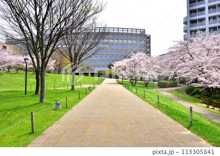 福岡工業大学 福工大 福岡市東区和白東3-30-1 福岡工業大学 福工大 福岡市東区和白東3-30-1 113305841