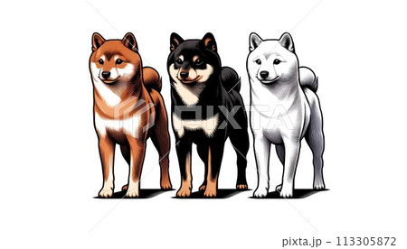 凛々しい柴犬セット 凛々しい柴犬セット 113305872