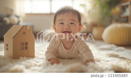 赤ちゃんと家のおもちゃ 113305885