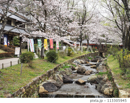 ぎふ清流里山公園(岐阜県美濃加茂市) ぎふ清流里山公園(岐阜県美濃加茂市) 113305945
