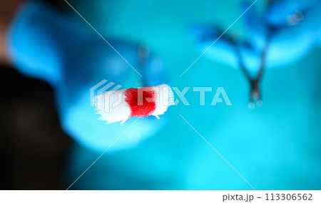 Surgeon in sterile uniform arms holding tools with bio material 113306562