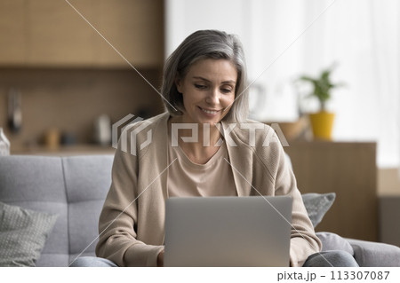 Smiling woman chatting with friends use laptop 113307087