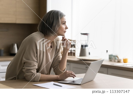 Serious woman work on laptop thinking on online business project 113307147