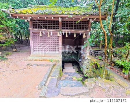 京都 宇治上神社に湧き出る名水・桐原水 京都 宇治上神社に湧き出る名水・桐原水 113307171