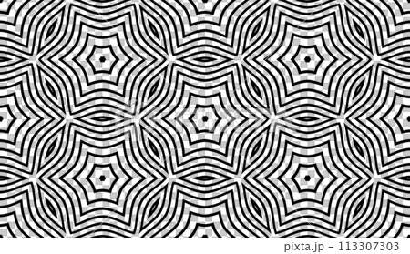 Seamless Geometric Pattern. Abstract Black and White Texture. Vector Art. Seamless Geometric Pattern. Abstract Black and White Texture. Vector Art. 113307303