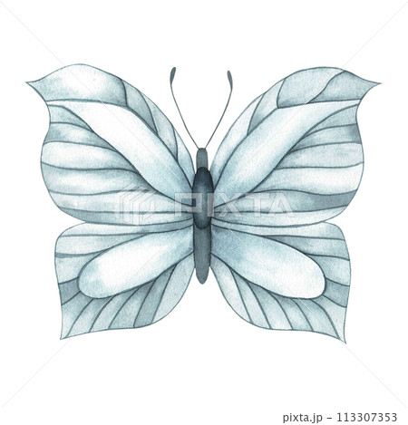 A set on the theme of butterflies and insects painted in watercolor on a white background. The color scheme is monochrome in a shade of indigo. 113307353