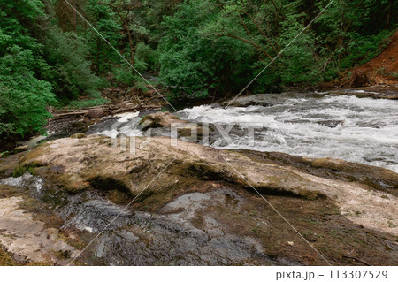 River Stream over the Rocks in the Lacamas Forest 113307529