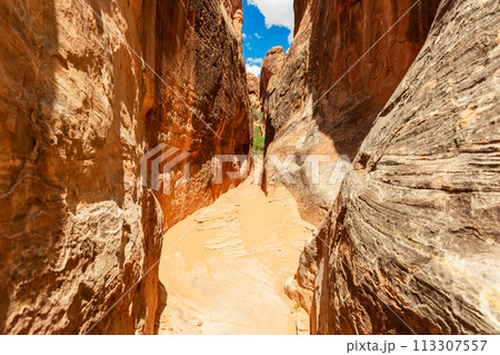 Rock Canyon Steep Walls in Fiery Furnace, Utah USA Rock Canyon Steep Walls in Fiery Furnace, Utah USA 113307557