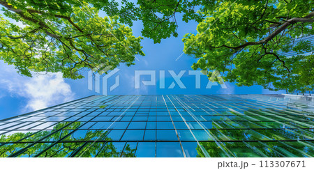 Looking up at a skyscraper with a vibrant green facade against the sky Looking up at a skyscraper with a vibrant green facade against the sky 113307671