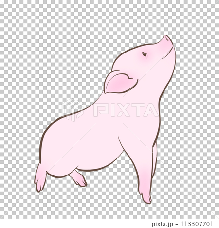 かわいい子豚のイラスト 113307701