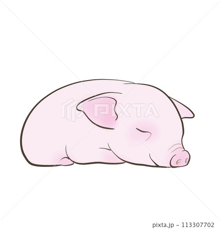かわいい子豚のイラスト 113307702